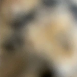 Meet your Posher, Bryan